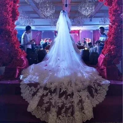 2 Layers Sequins Lace Cathedral Length Wedding Veil