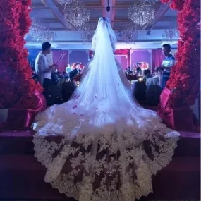 2 Layers Sequins Lace Cathedral Length Wedding Veil