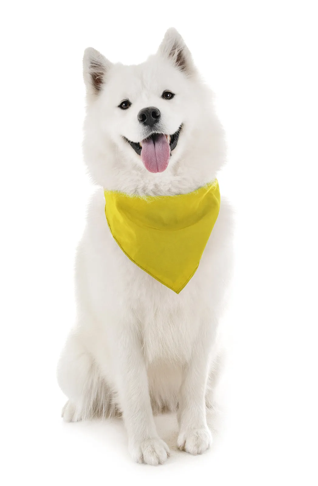 30 Pack Polyester Dog Bandanas Solid Colors Regular Size