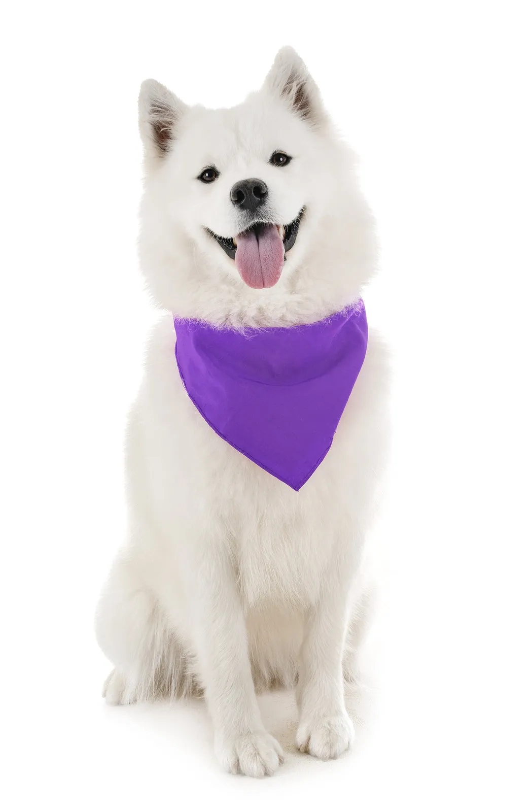 30 Pack Polyester Dog Bandanas Solid Colors Regular Size