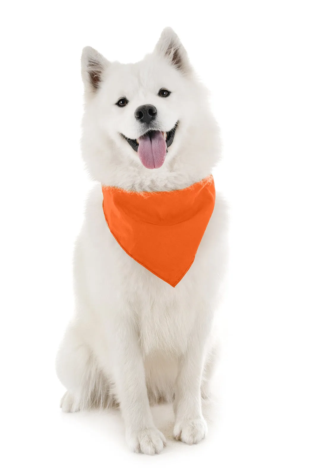 30 Pack Polyester Dog Bandanas Solid Colors Regular Size