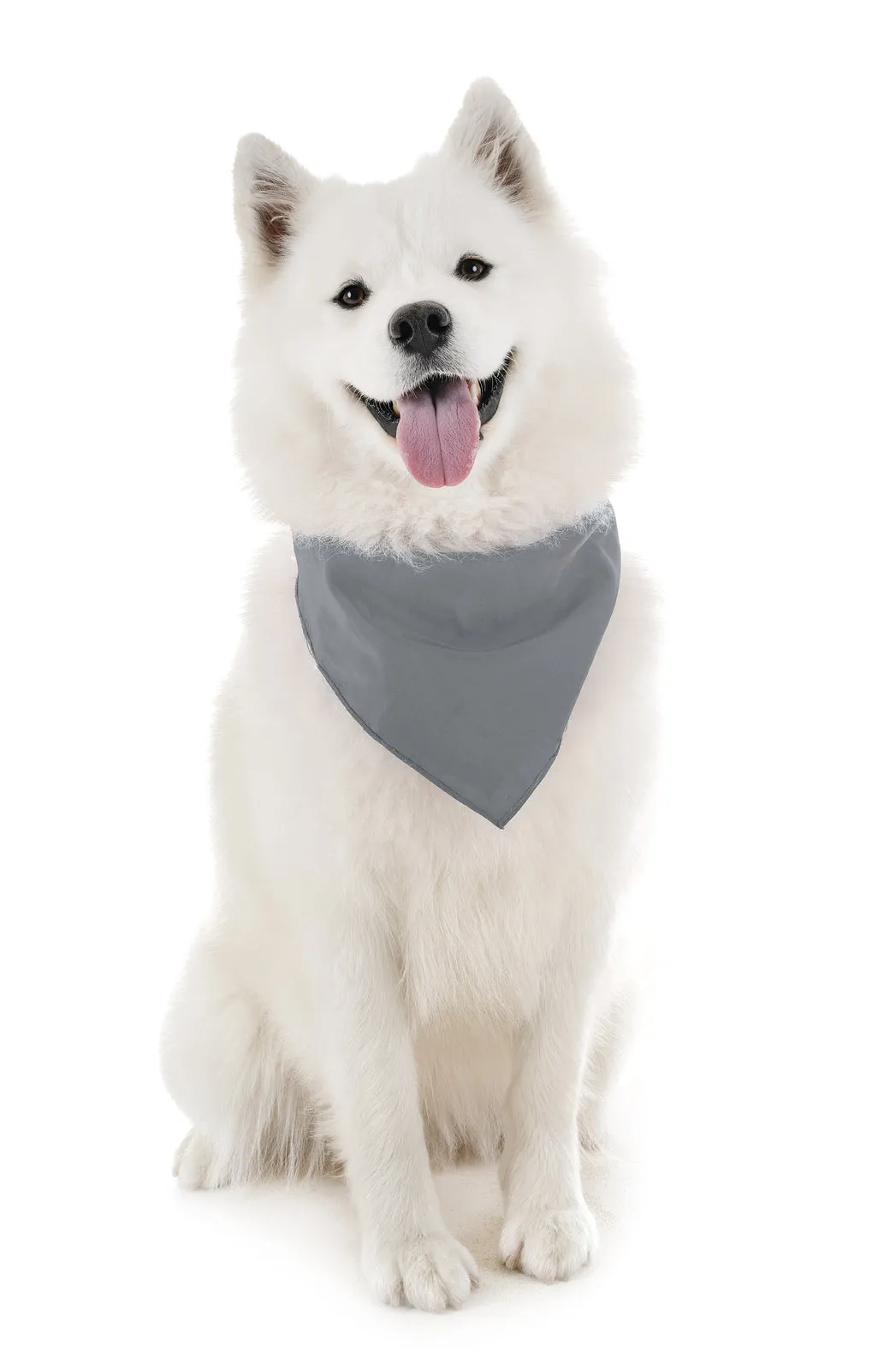 30 Pack Polyester Dog Bandanas Solid Colors Regular Size