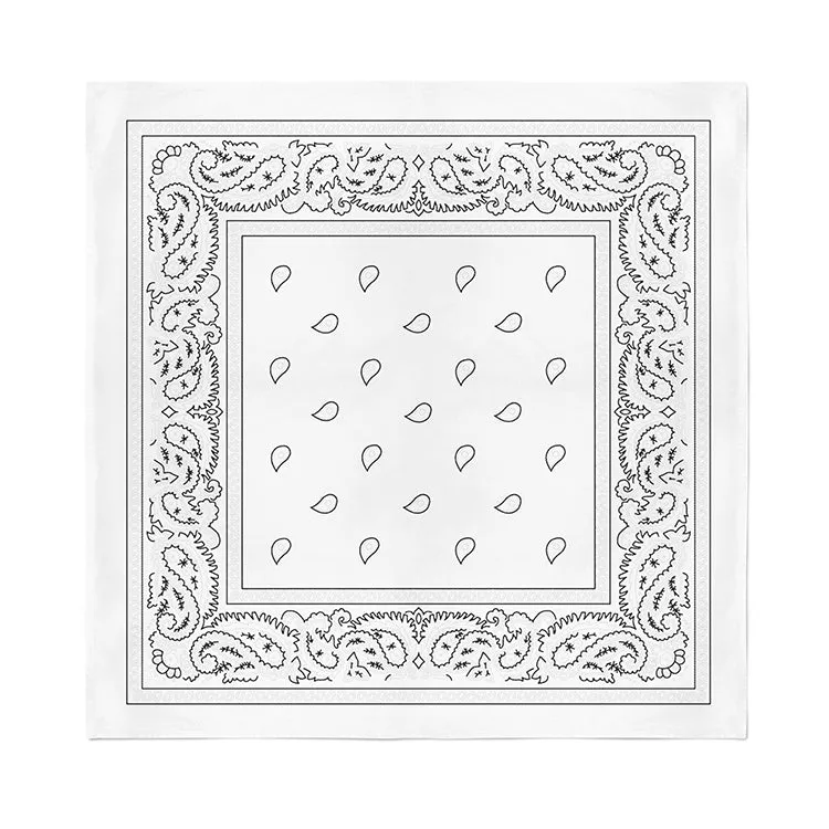 30 Pack Polyester Paisley Bandanas - Fast FREE Shipping