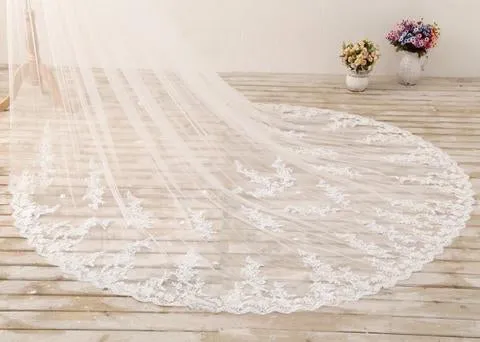 3M Long Embroidered Lace Cathedral Veil for Wedding PFWV0002