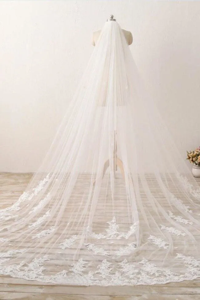 3M Long Lace Appliqued Cathedral Veils for Wedding Romantic Veils V025