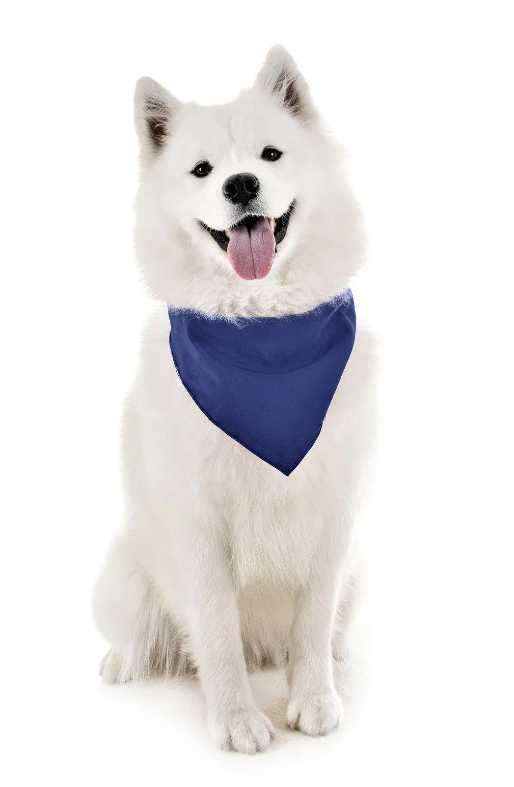 6 Pack Polyester Dog Bandanas Solid Colors Regular Size