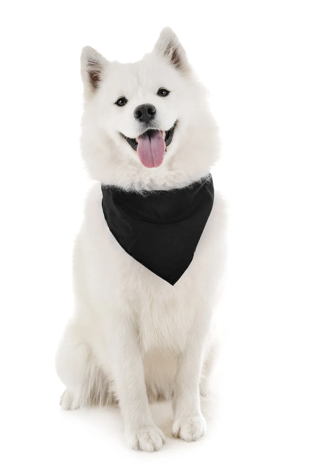 6 Pack Polyester Dog Bandanas Solid Colors Regular Size