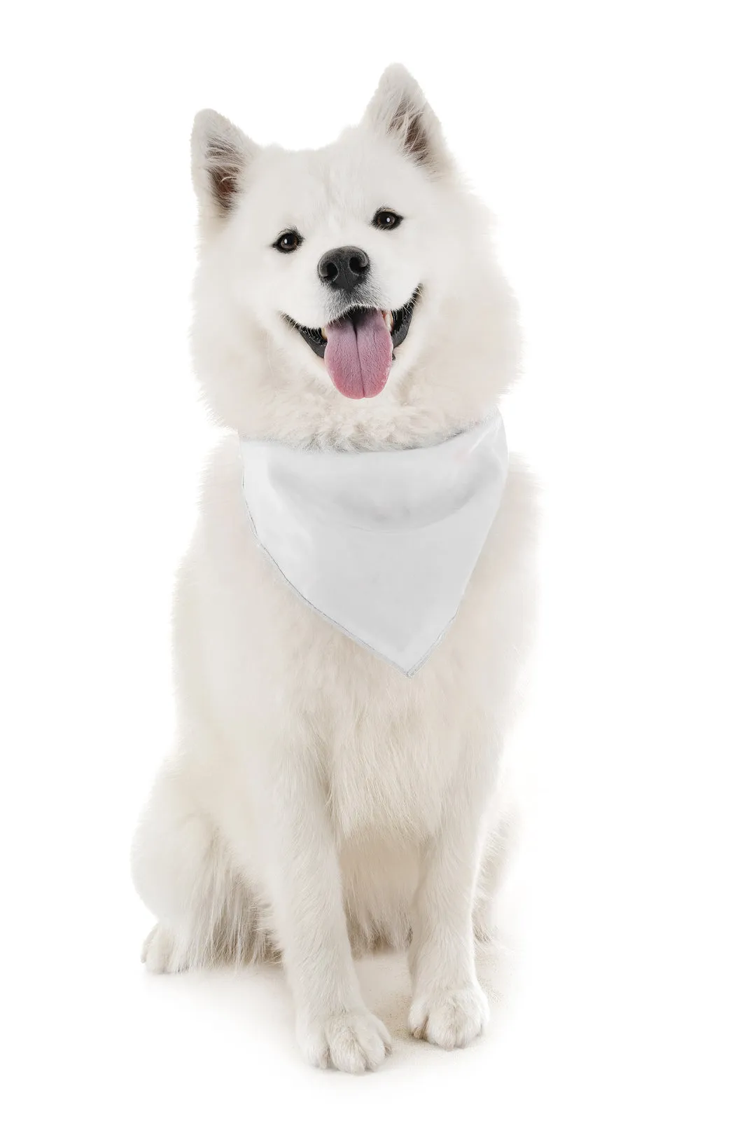 6 Pack Polyester Dog Bandanas Solid Colors Regular Size