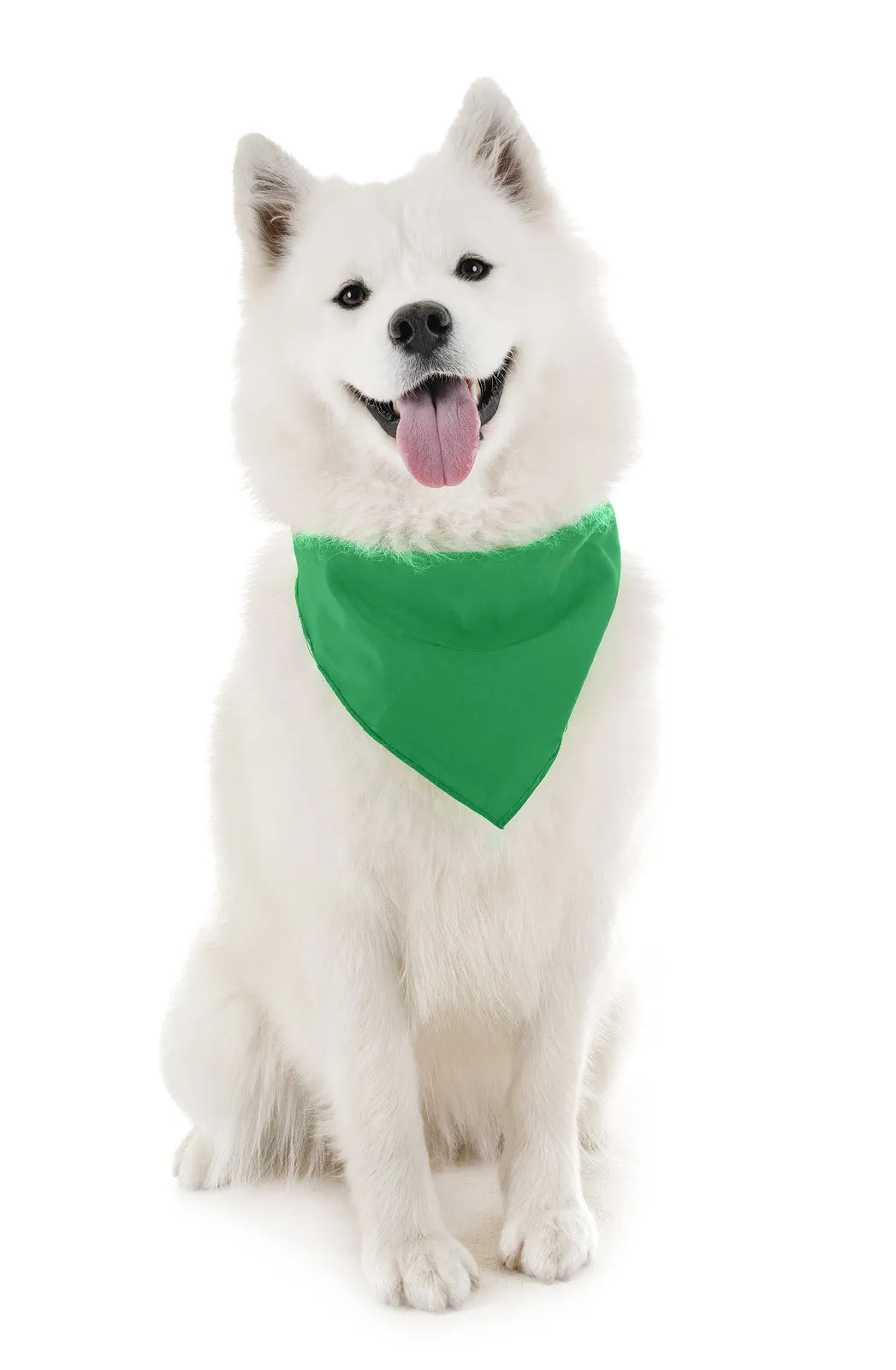 6 Pack Polyester Dog Bandanas Solid Colors Regular Size
