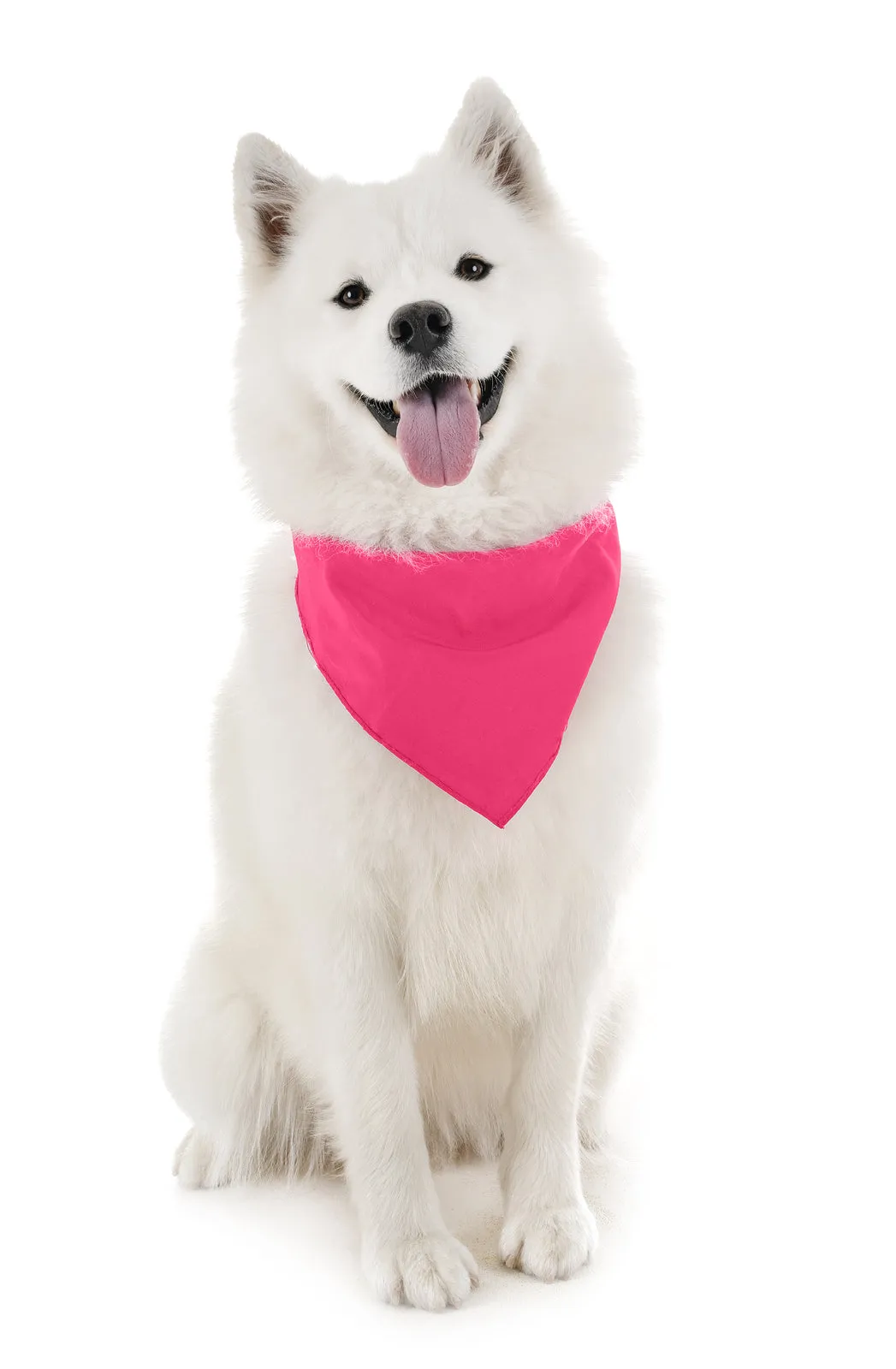 6 Pack Polyester Dog Bandanas Solid Colors Regular Size