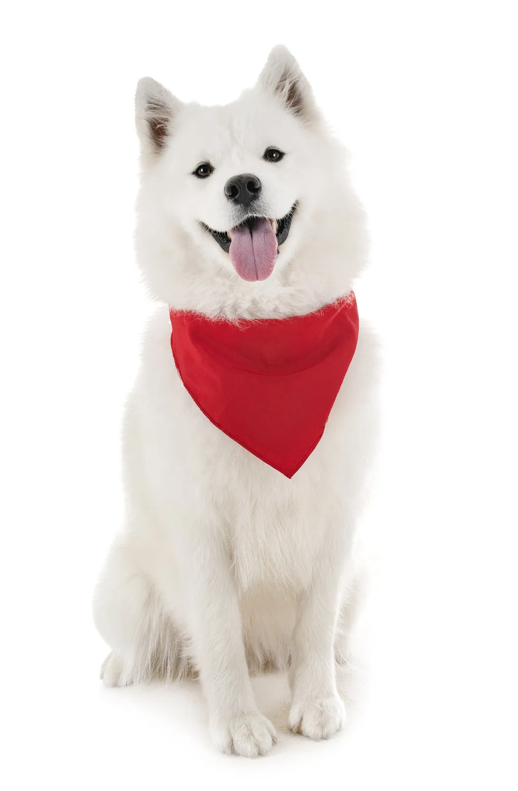 6 Pack Polyester Dog Bandanas Solid Colors Regular Size