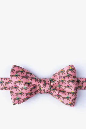 Alynn Self Bow Tie One Horse Race Pink AL401493 SS24
