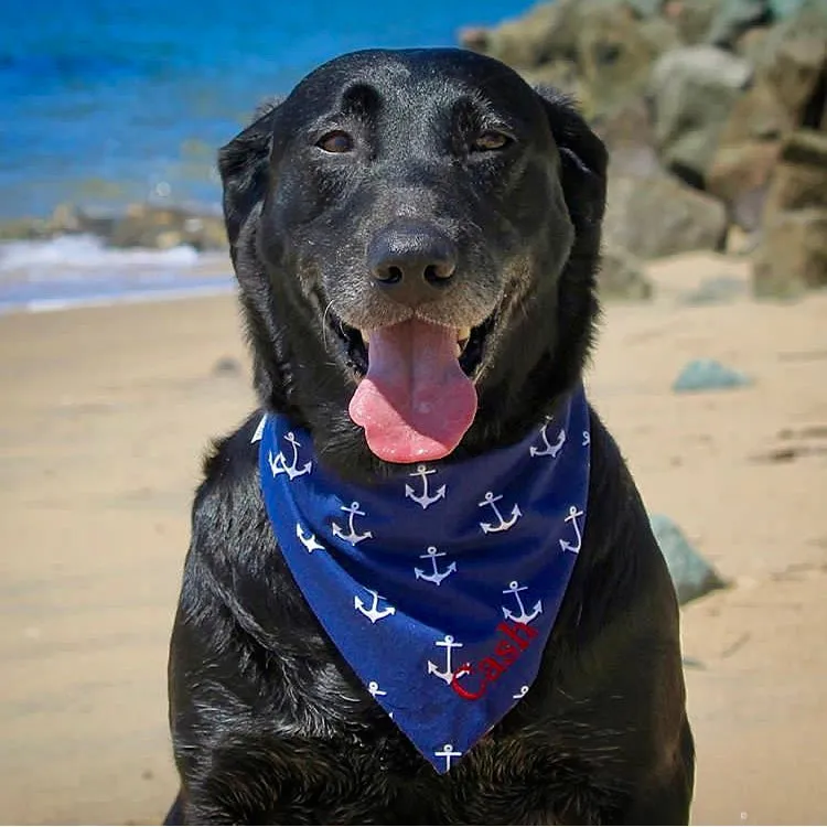 Anchors Red White and Blue Personalized Summer Dog Bandanas
