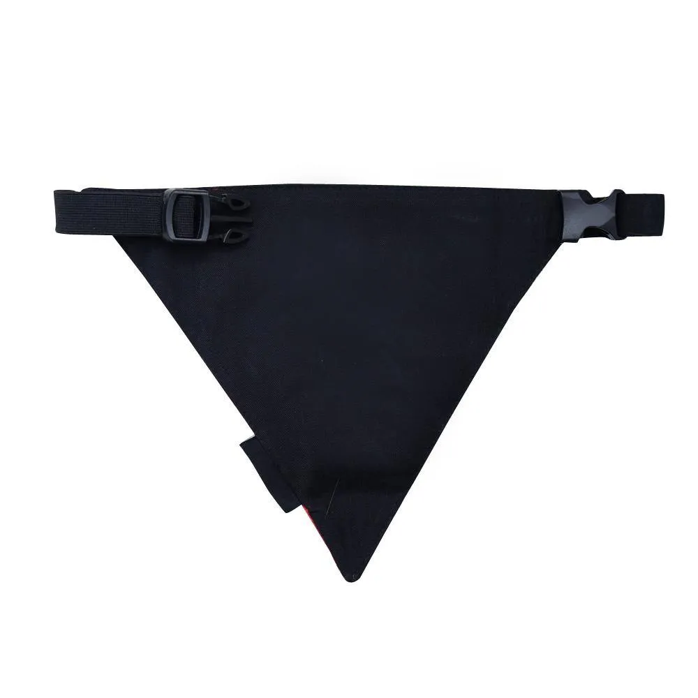 Bad Boy Bandana