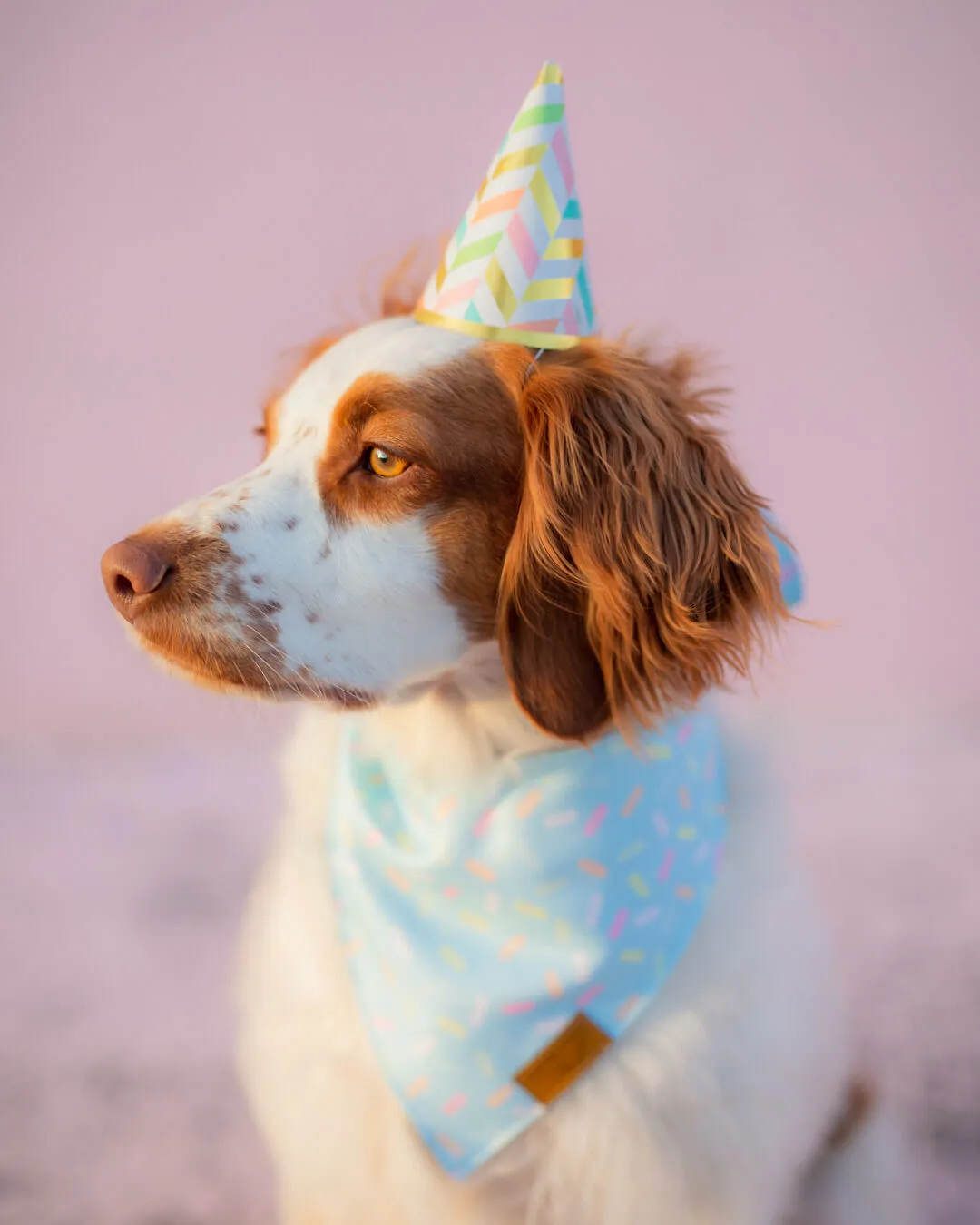 Birthday