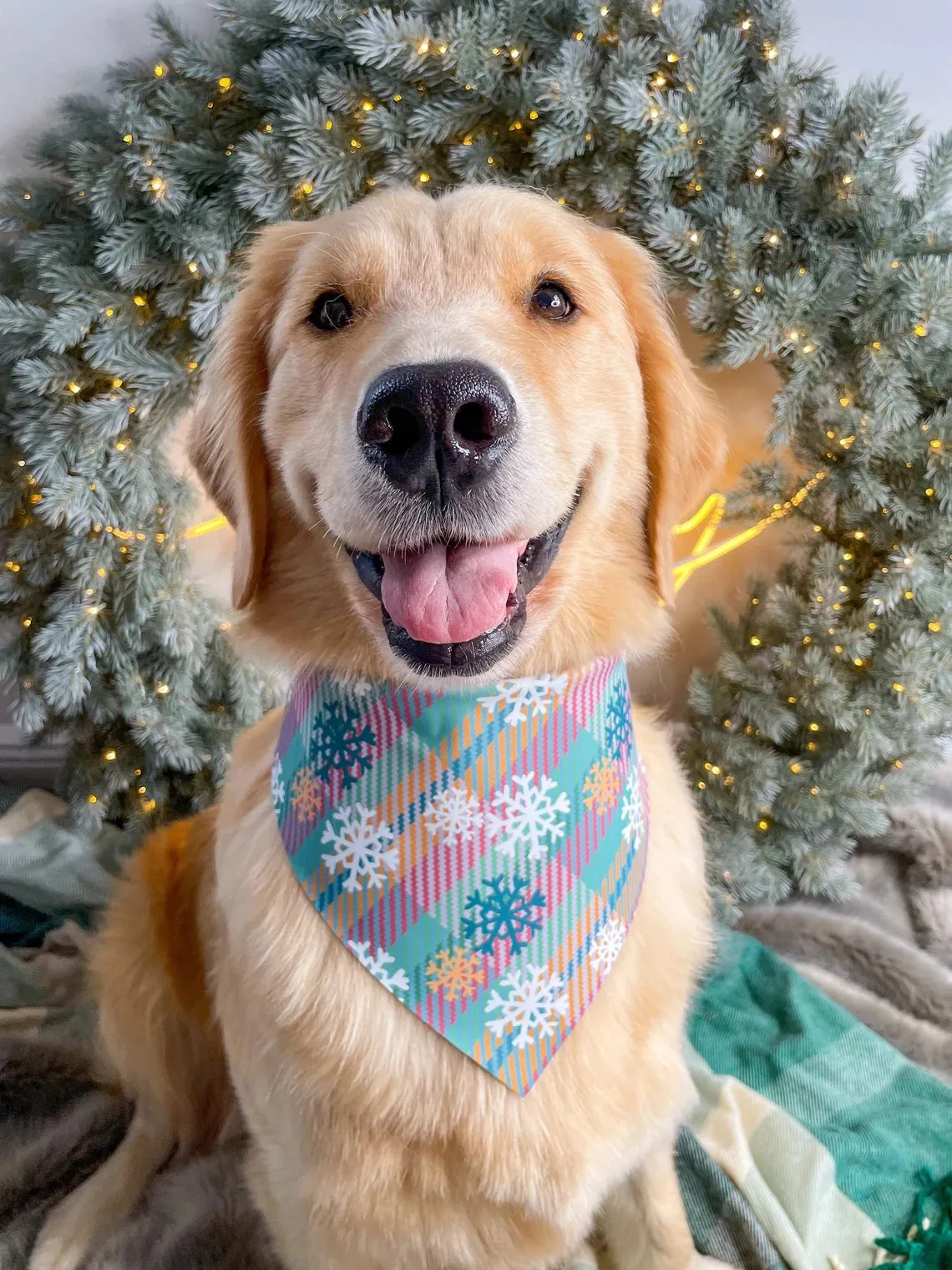 Clothes Knit Bandana