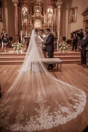 Fairy Tale Worthy One Layer Cathedral Length Lace Wedding Veil Comb PFWV0004