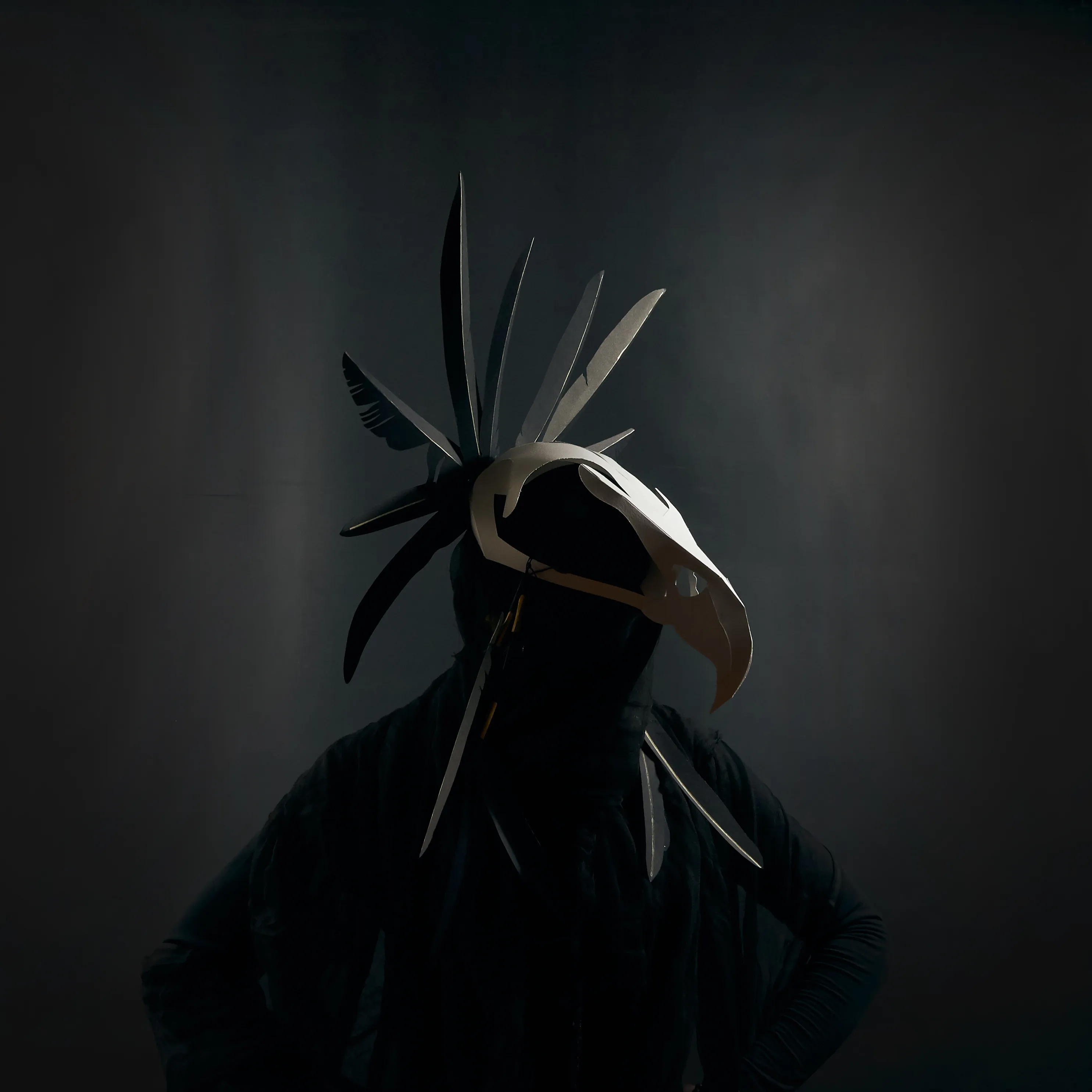 Feathers of Herakon