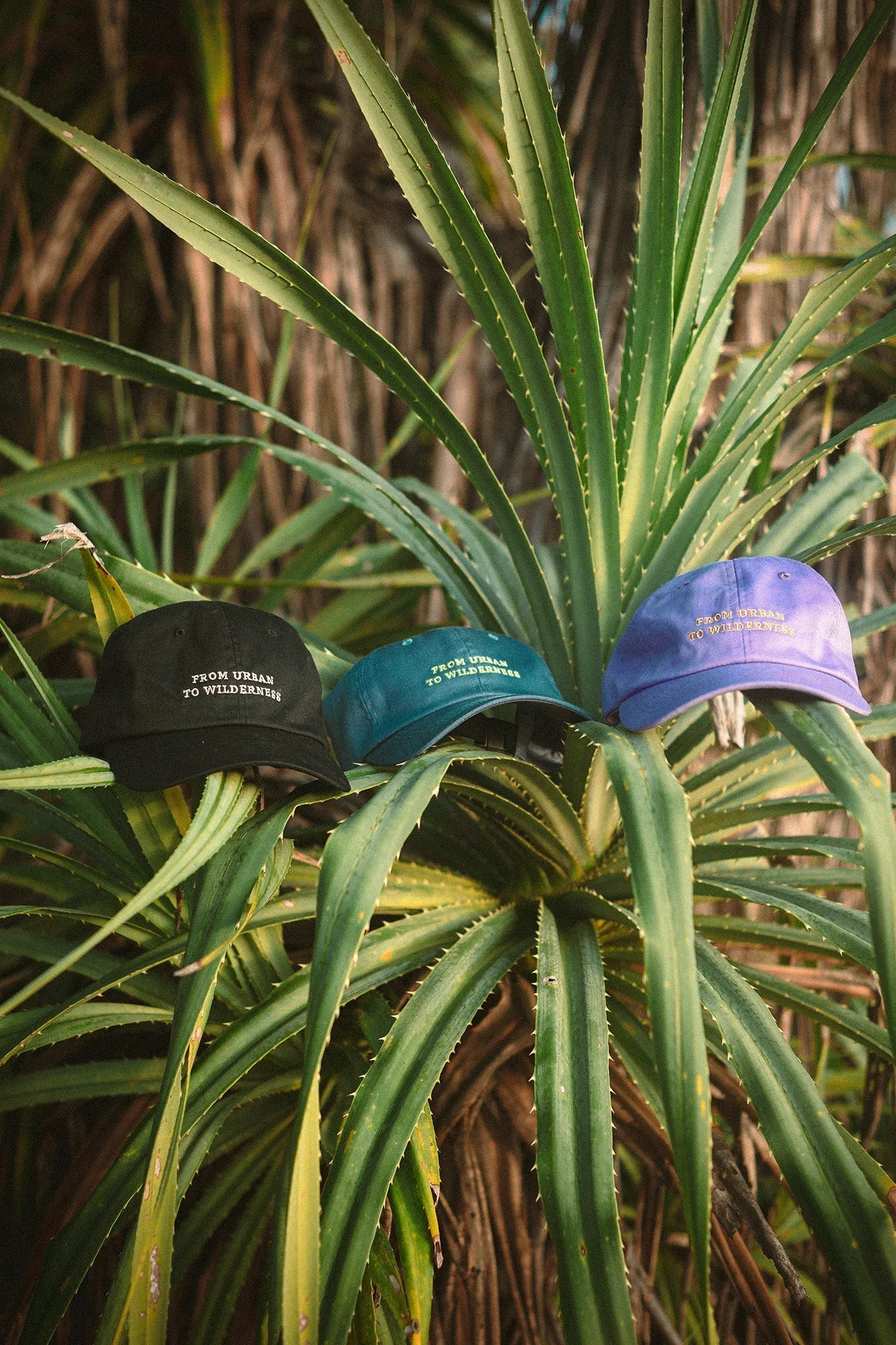 From Urban to Wilderness Cap Black