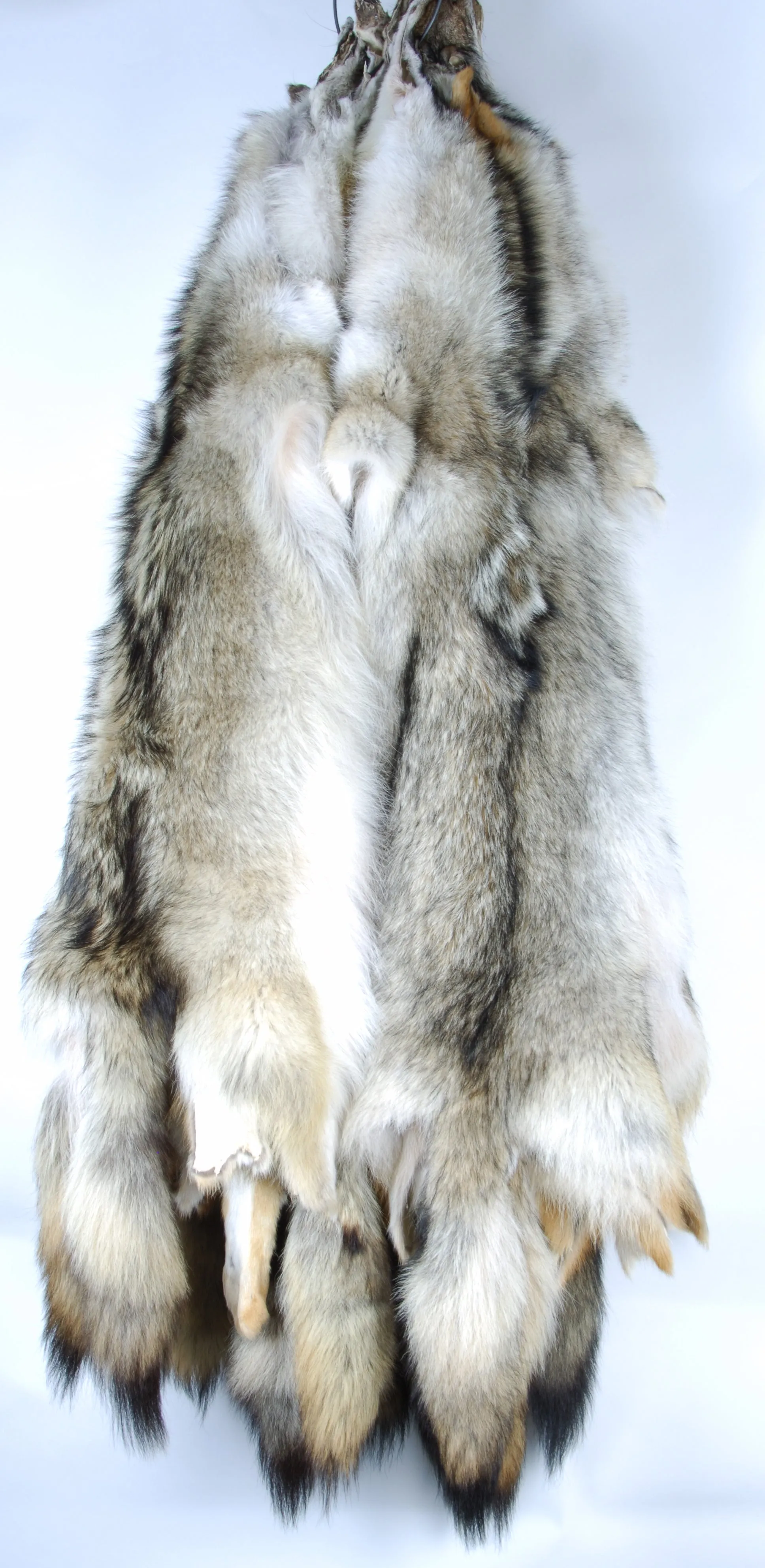Giant Coyote Fur Skin - 2XL