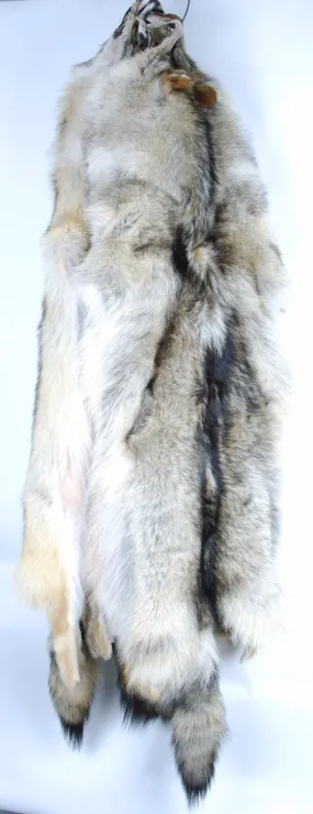 Giant Coyote Fur Skin - 3XL