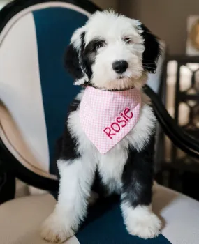 Gingham Embroidered Dog Bandanas with Personalization