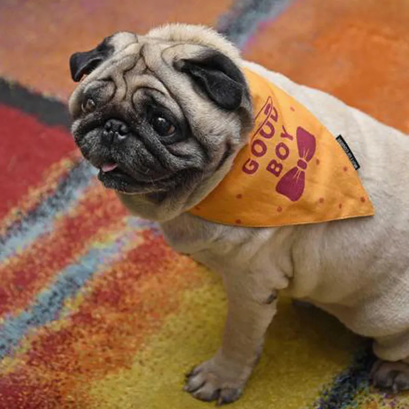 Good Boy Bandana