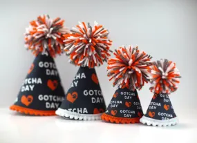Gotcha Day Pet Party Hat - Fun Photo Prop / Handcrafted