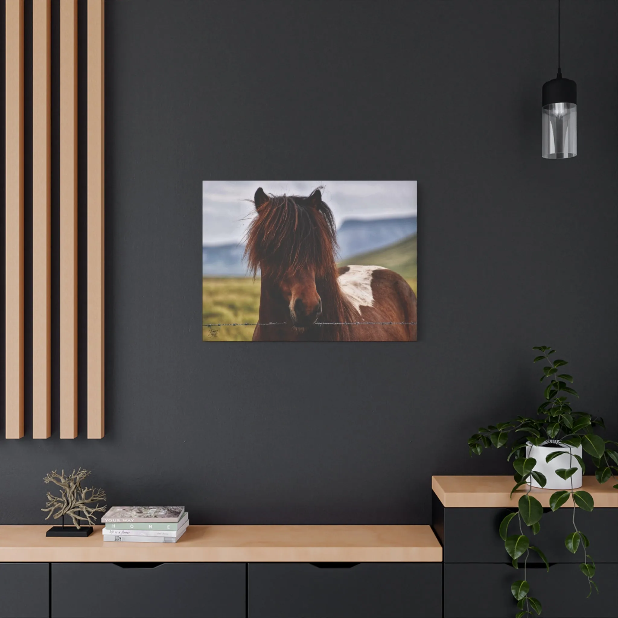 'Icelandic Pony' Iceland - Stretched Canvas
