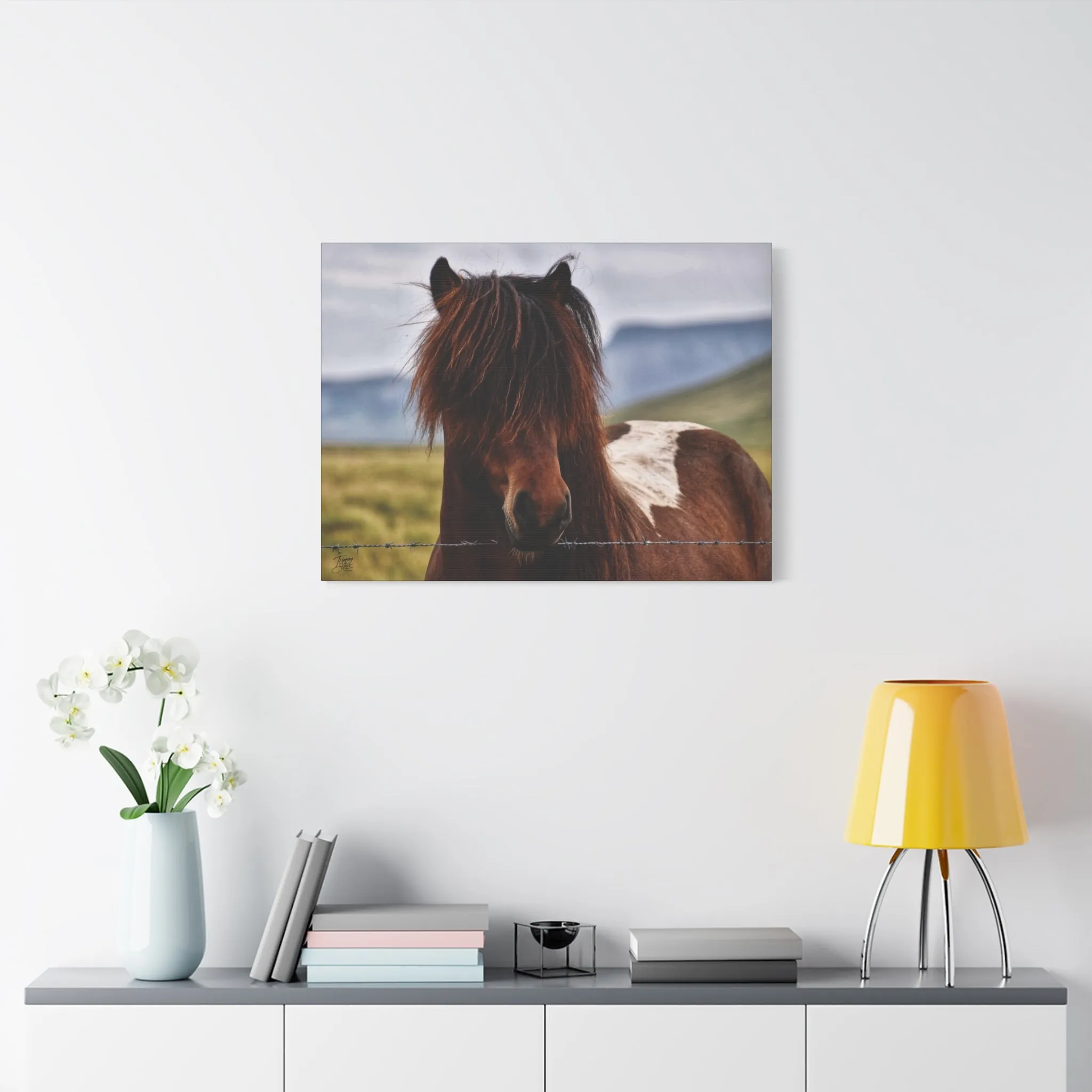 'Icelandic Pony' Iceland - Stretched Canvas