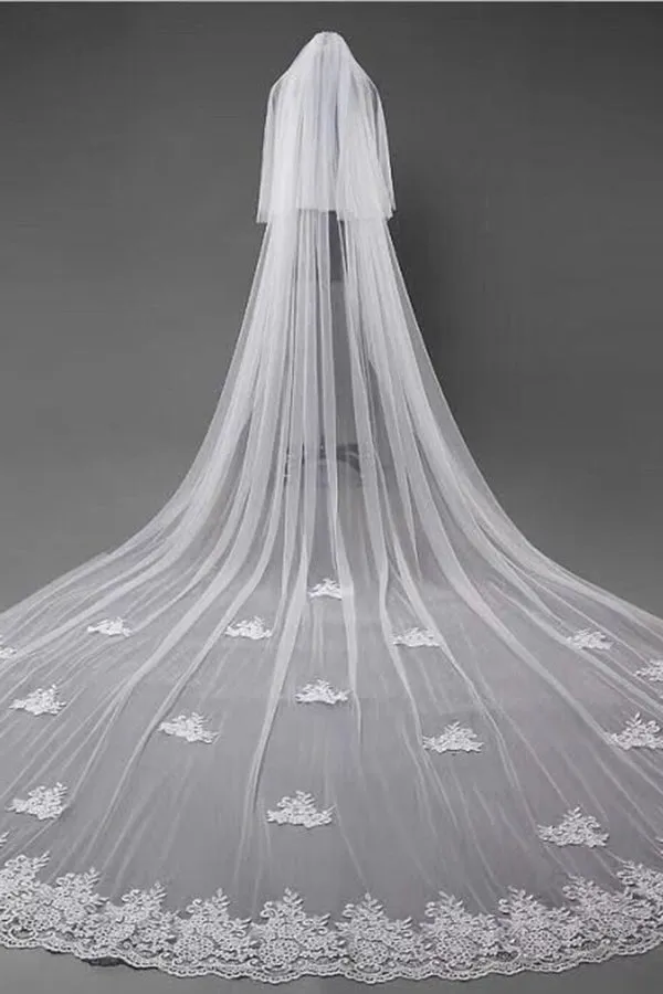 Ivory Lace Appliqued Cathedral Length Tulle Wedding Veil Tulle Bridal Veil V033