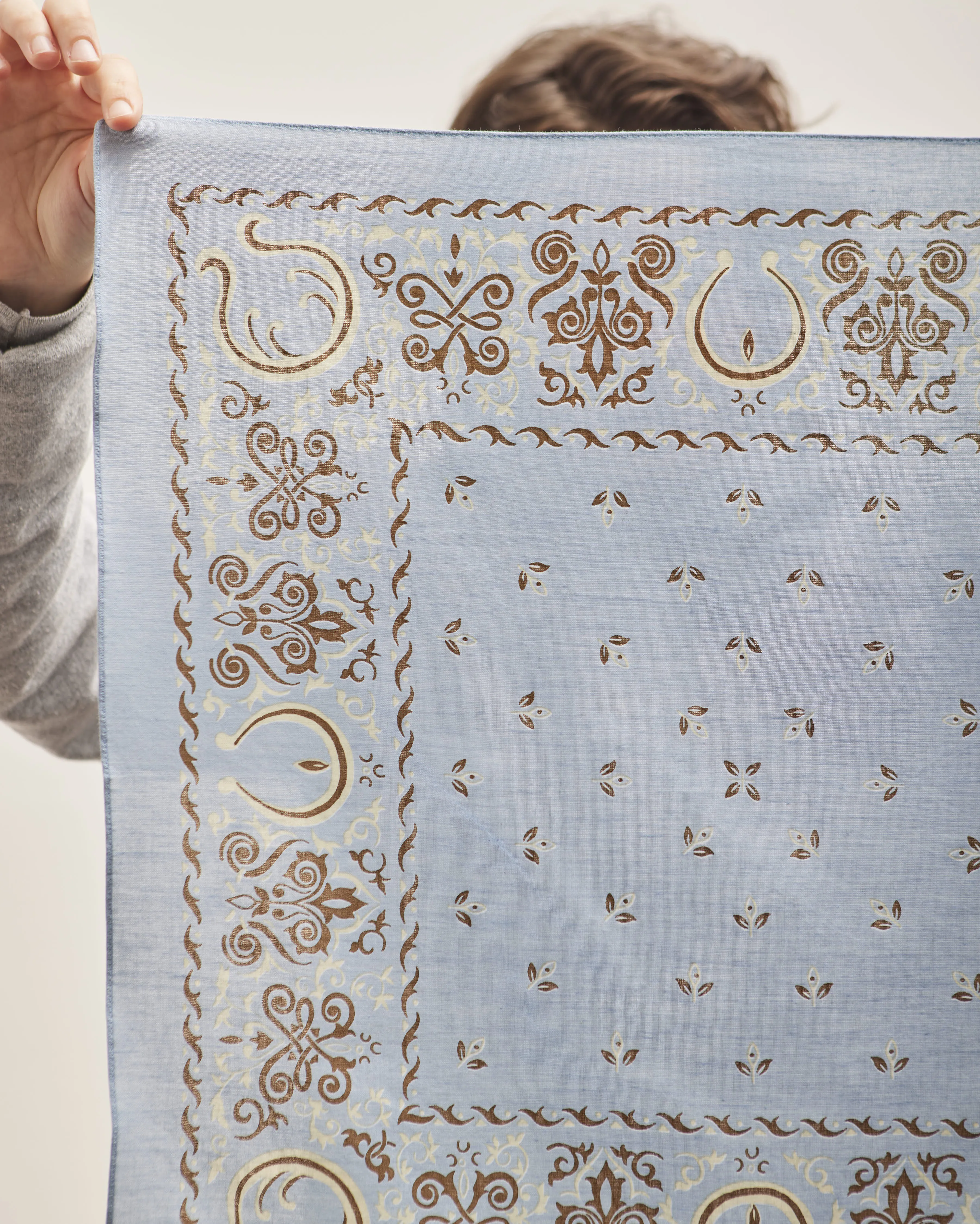 Kapital Antler Naja Bandana, Saxophone