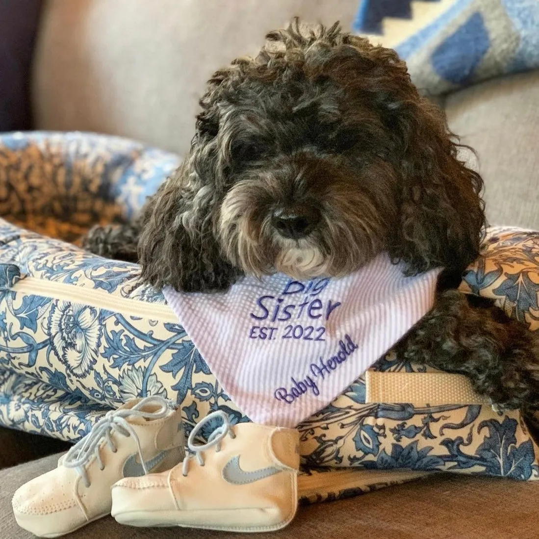 Little Sister Custom Dog Bandanas in Seersucker