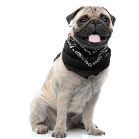 Pack of 6 Polyester Dog Bandanas Paisley Design Regular Size