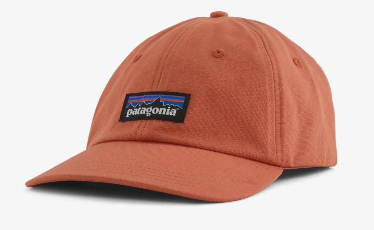 Patagonia P-6 Label Trad Cap