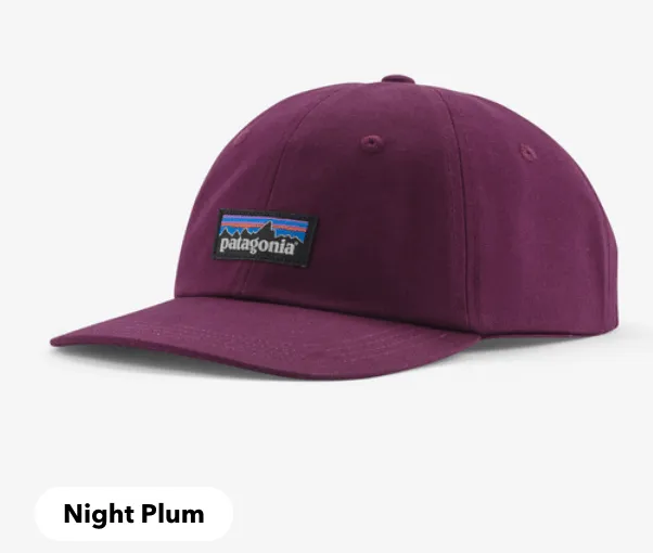 Patagonia P-6 Label Trad Cap