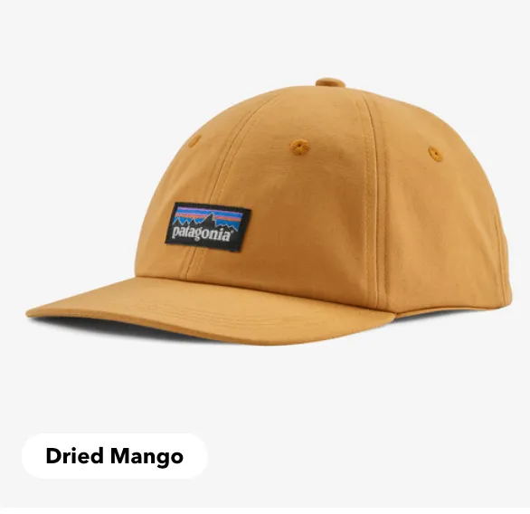 Patagonia P-6 Label Trad Cap