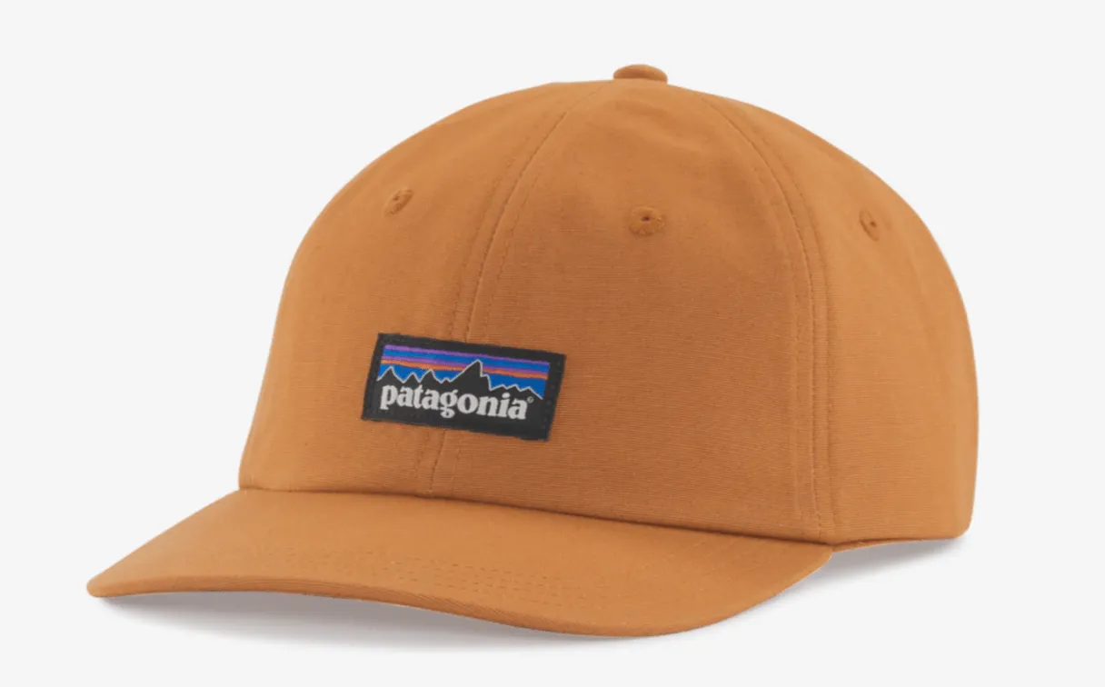 Patagonia P-6 Label Trad Cap