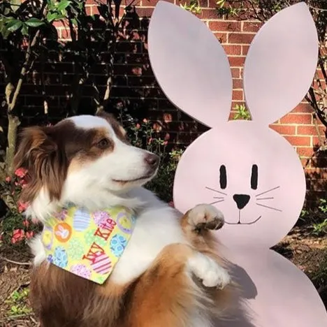 Personalized Easter Egg Bandanas with Personalization