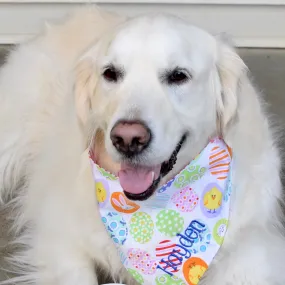 Personalized Easter Egg Bandanas with Personalization