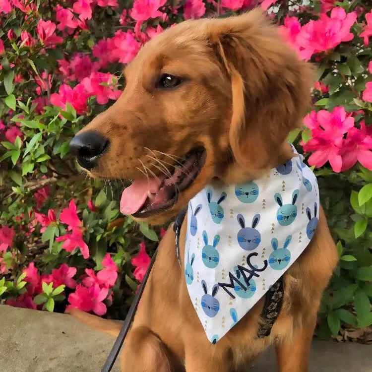 Personalized Easter Egg Bandanas with Personalization