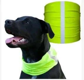 "REFLECTIVE YELLOW" Reflective Dog Shield