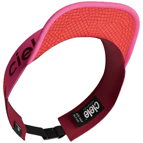 RPDVisor
