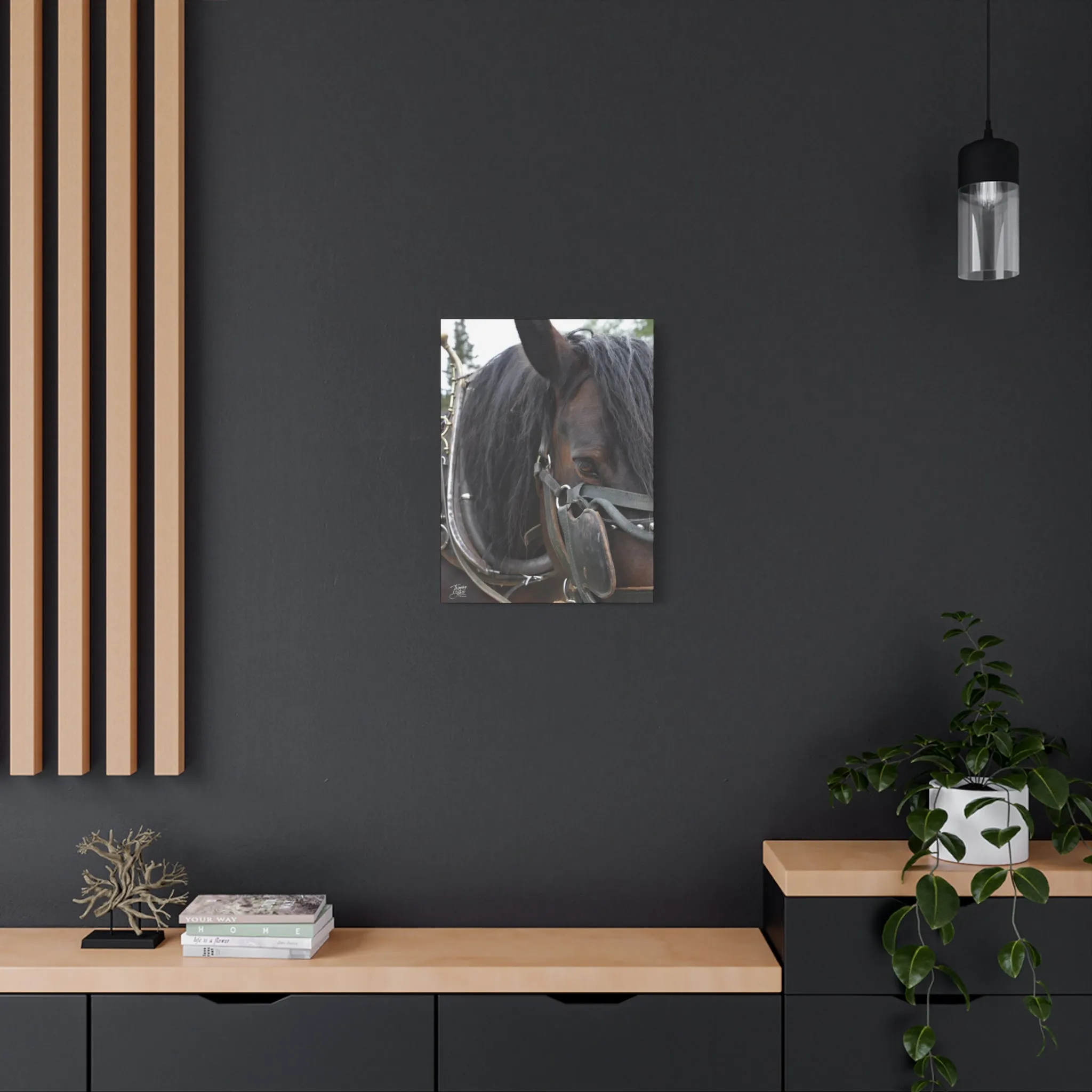 'Showman' British Columbia, Canada - Stretched Canvas