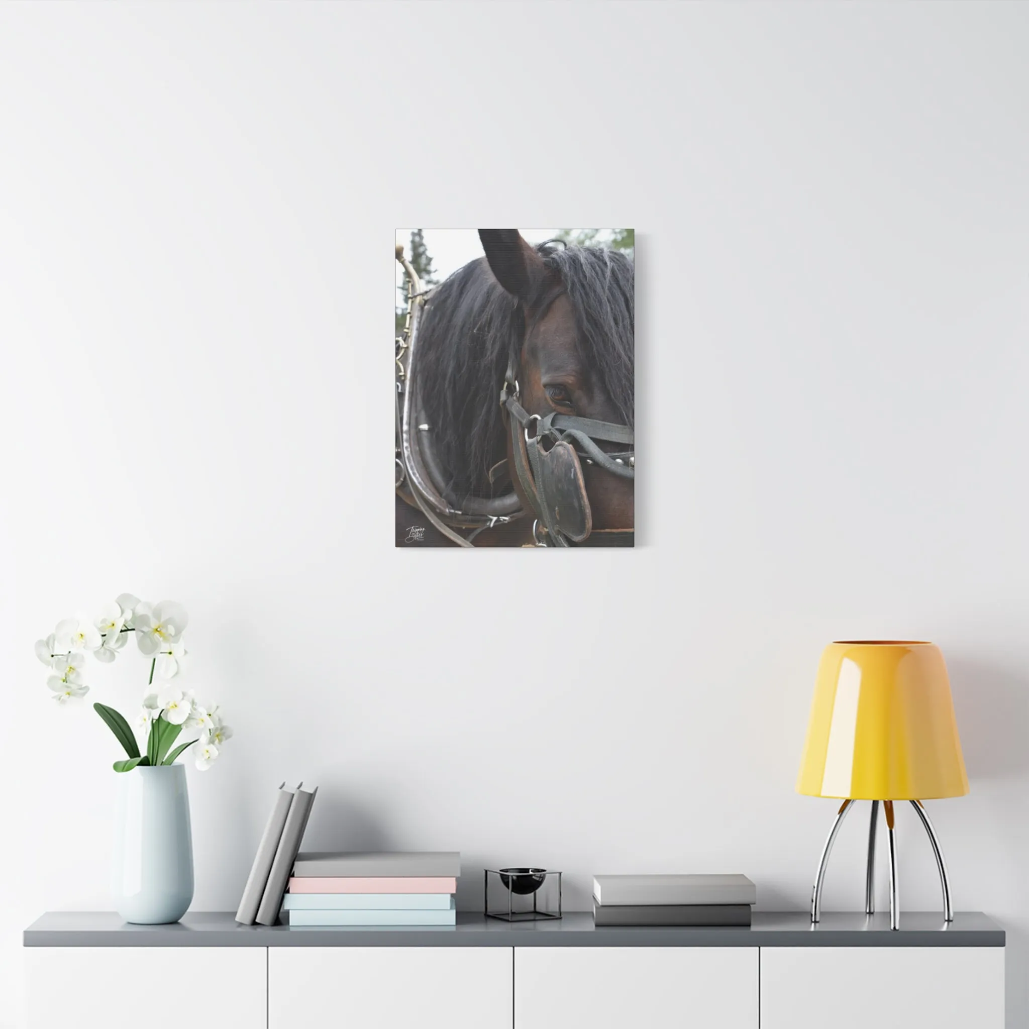 'Showman' British Columbia, Canada - Stretched Canvas