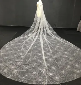 Sparking glitter cathedral length veil