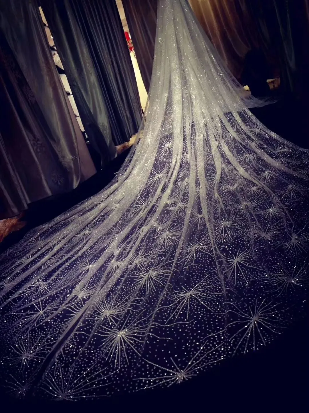 Sparking glitter cathedral length veil