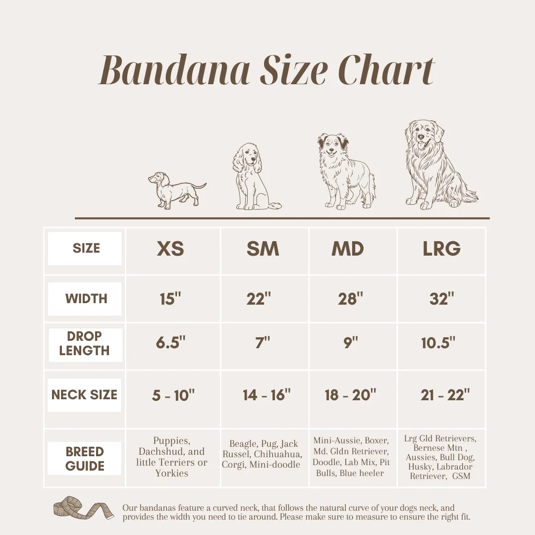 Spice of Life Dog Bandana