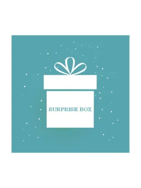SURPRISE25#SURPRISE BOX 25 pcs - $625 retail value